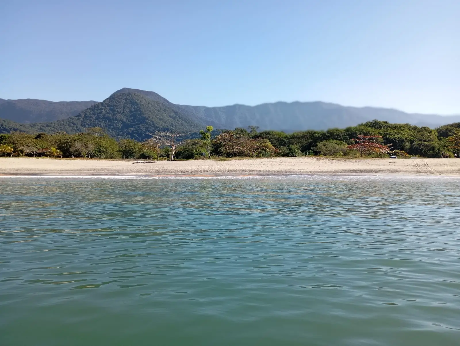 Ilha do Tamanduá vista durante o passeio
