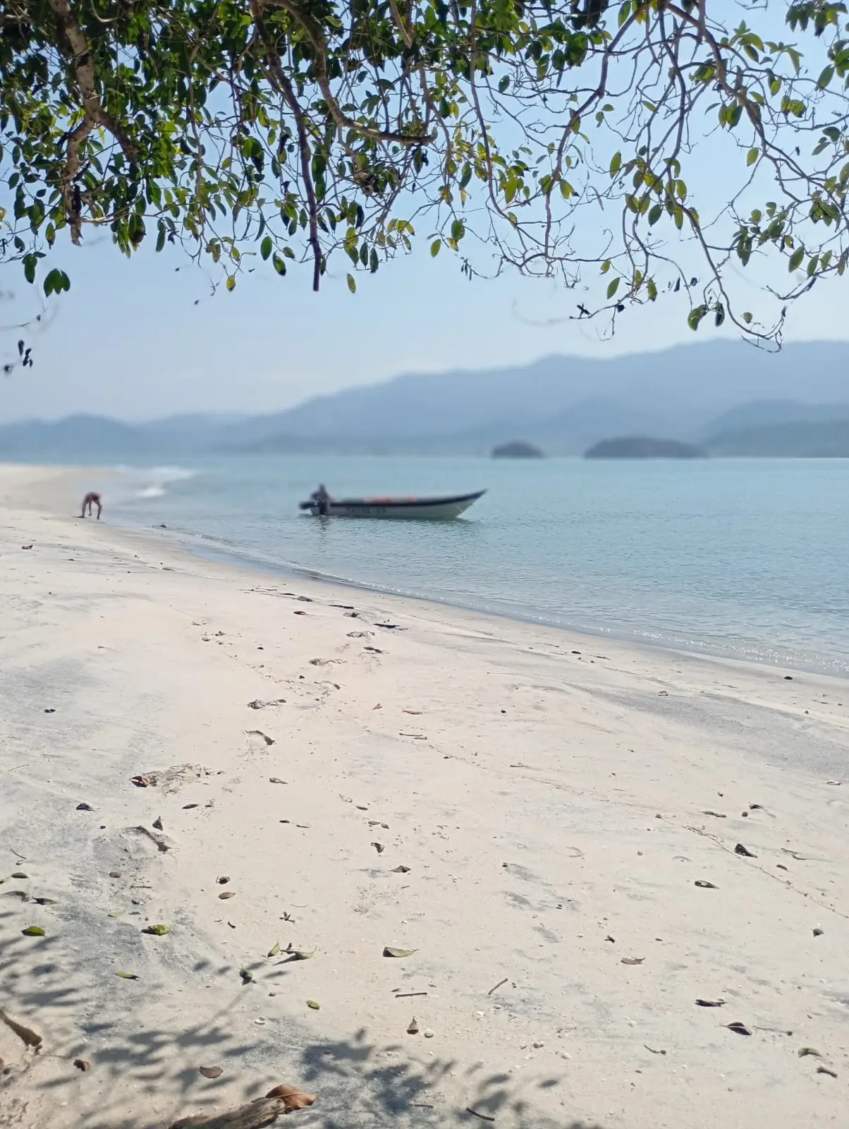 Passar o dia na Ilha